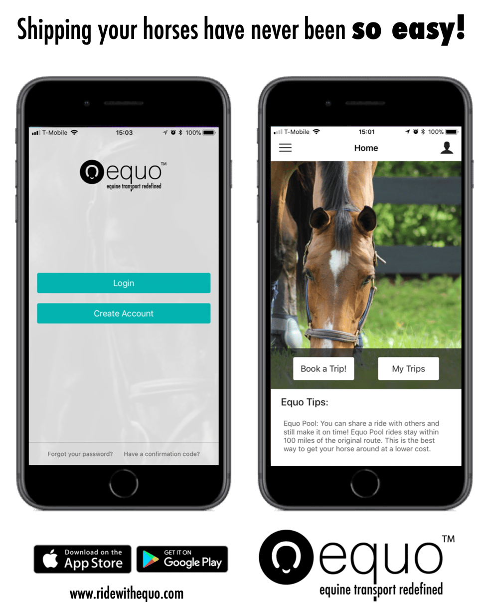 What is The Cost of Transporting a Horse?